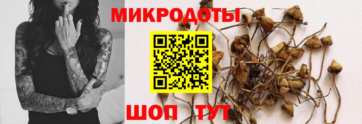Томск  Галлюциногенные грибы прущие грибы  Галлюциногенные грибы Cubensis  Вход с VPN 